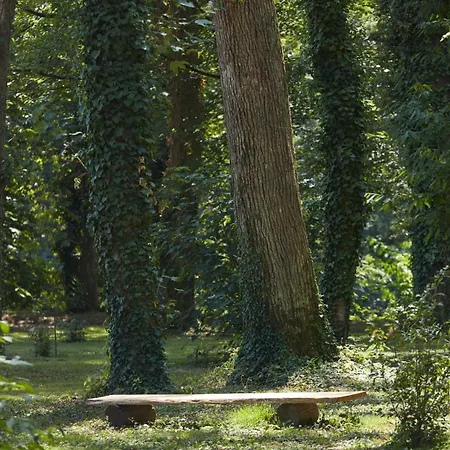 Domaine Le Mezo 4*